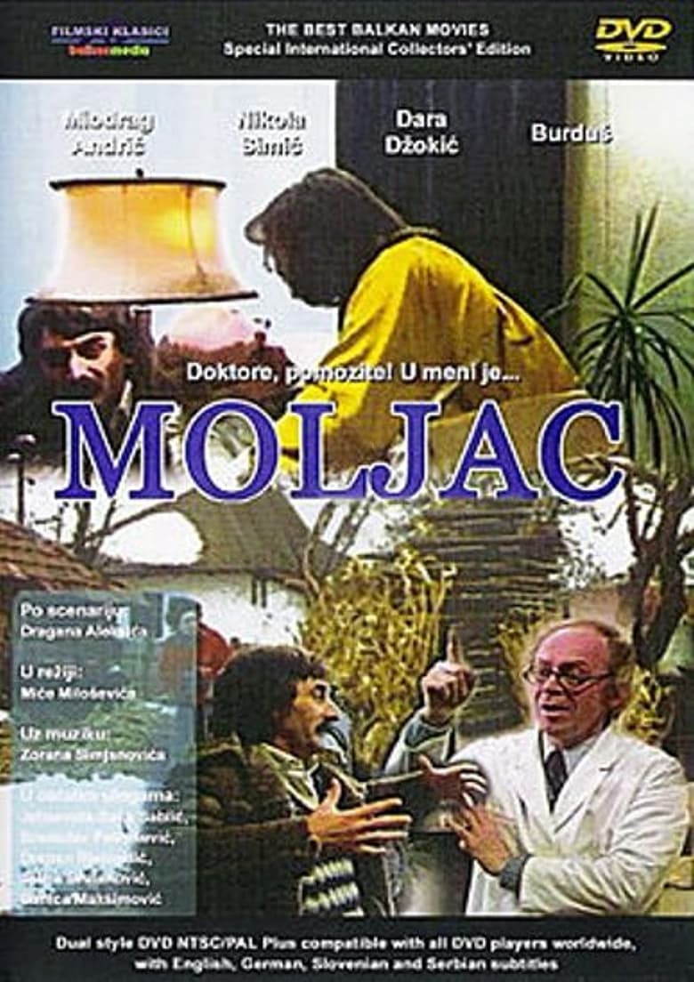 Poster of The Moth