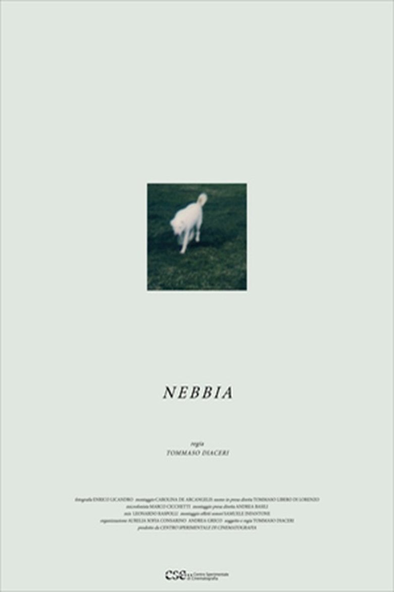 Poster of Nebbia
