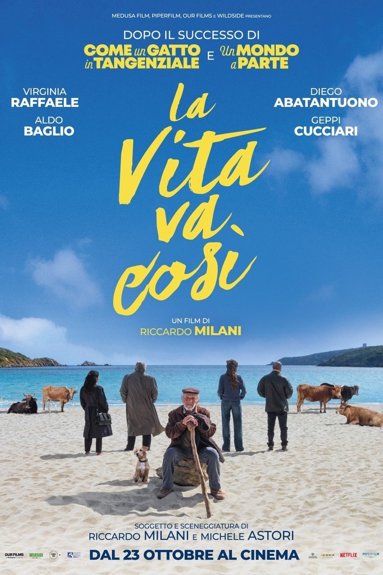 Poster of La vita va così