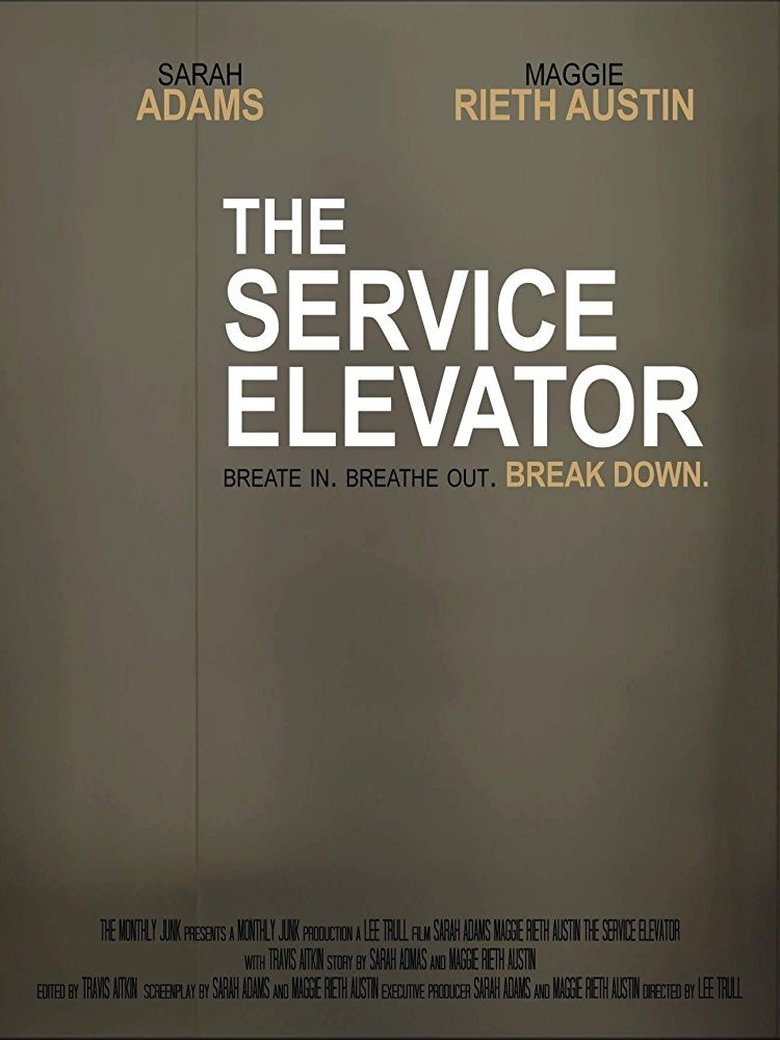 Poster of The Service Elevator
