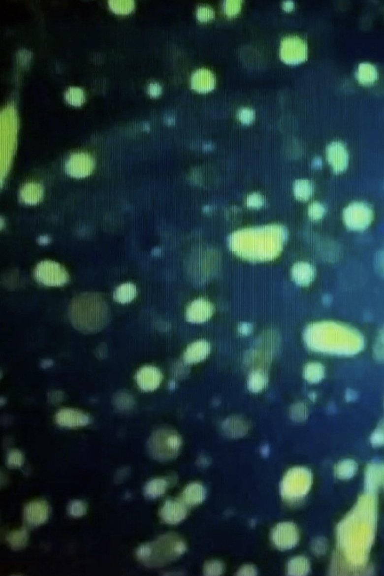 Poster of THE DREAM OF FISH