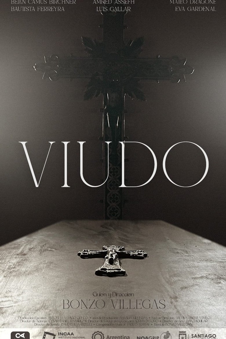 Poster of Viudo