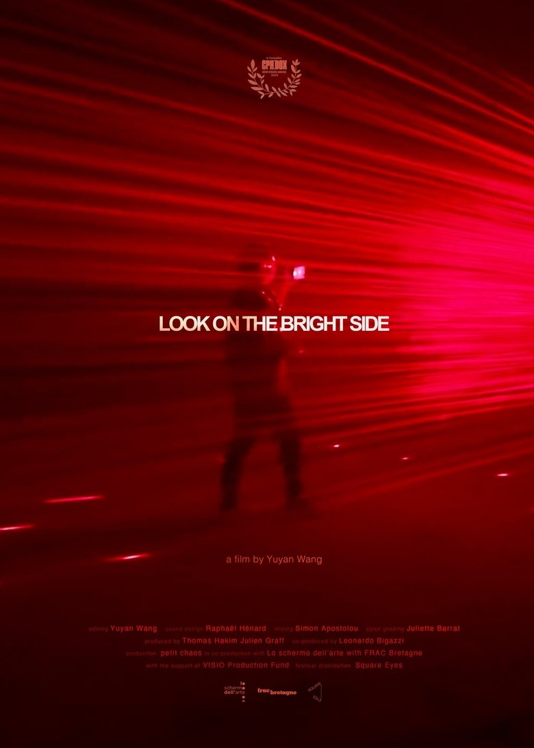 Poster of Look On the Bright Side
