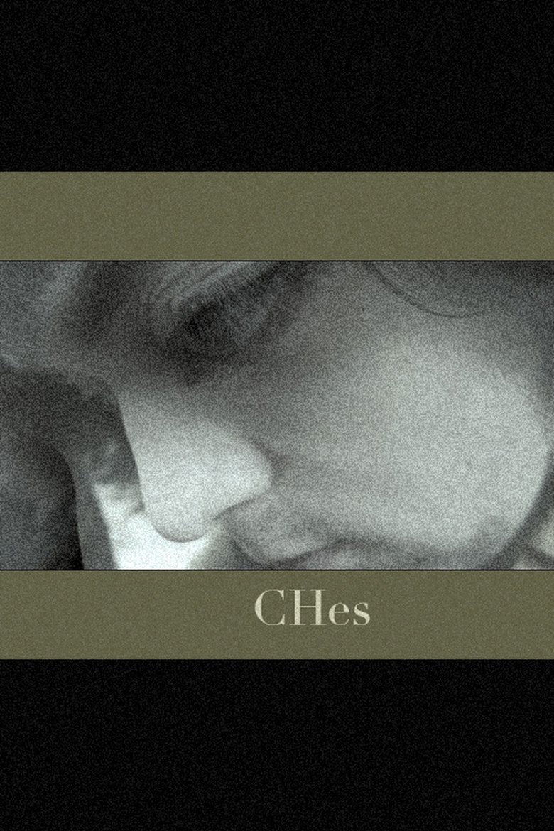 Poster of CHes