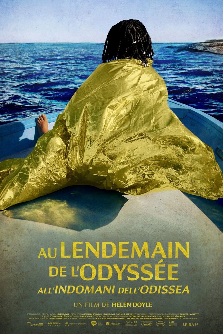 Poster of After the Odyssey