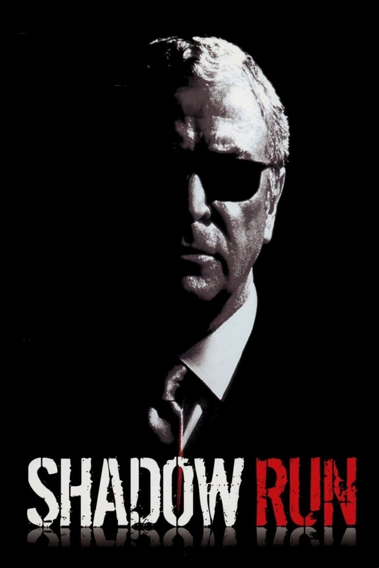 Poster of Shadow Run