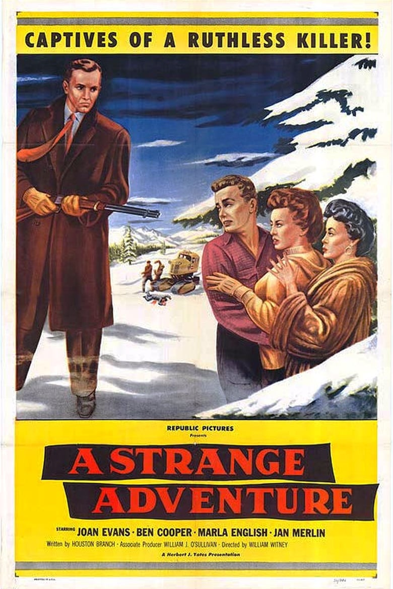 Poster of A Strange Adventure