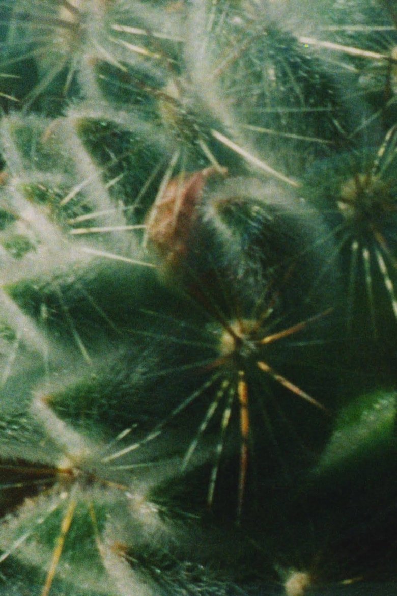 Poster of Helios