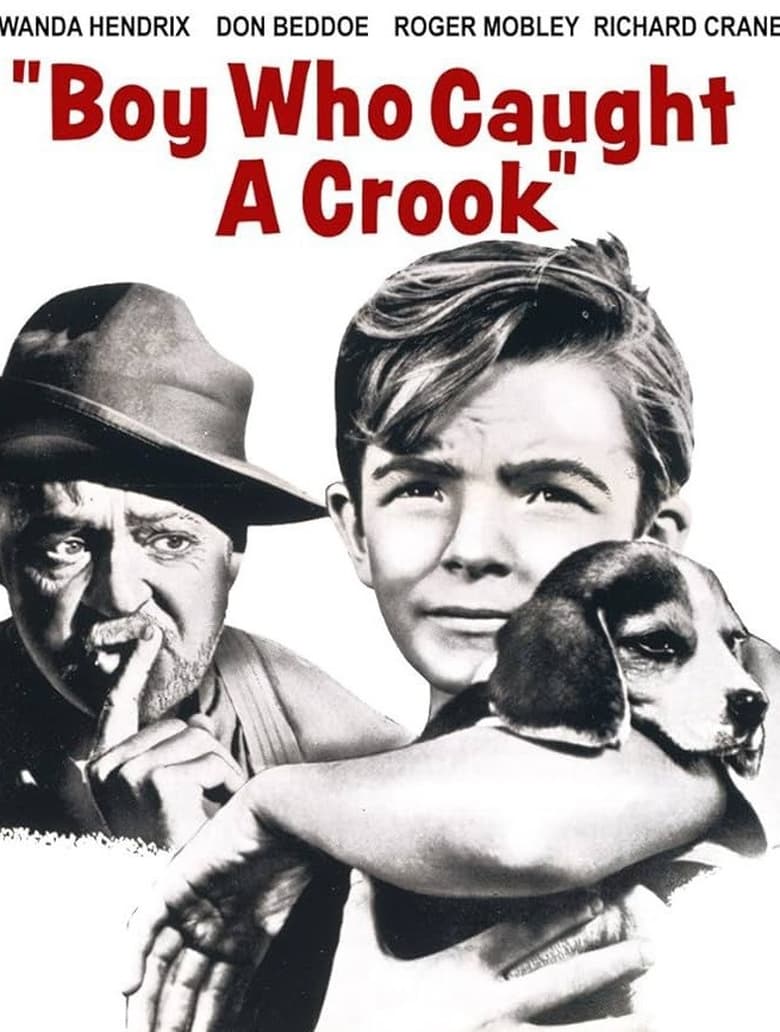 Poster of Boy Who Caught a Crook