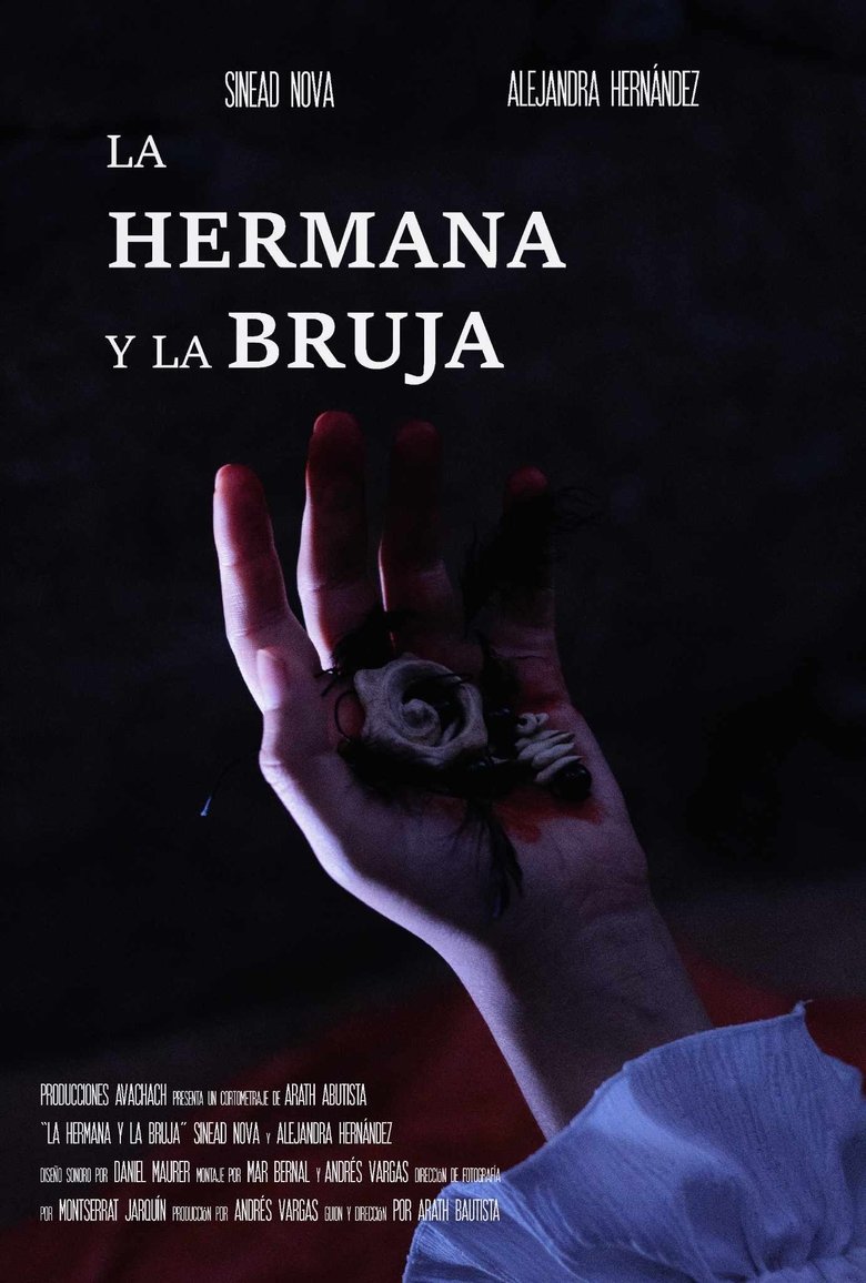 Poster of La Hermana y la Bruja