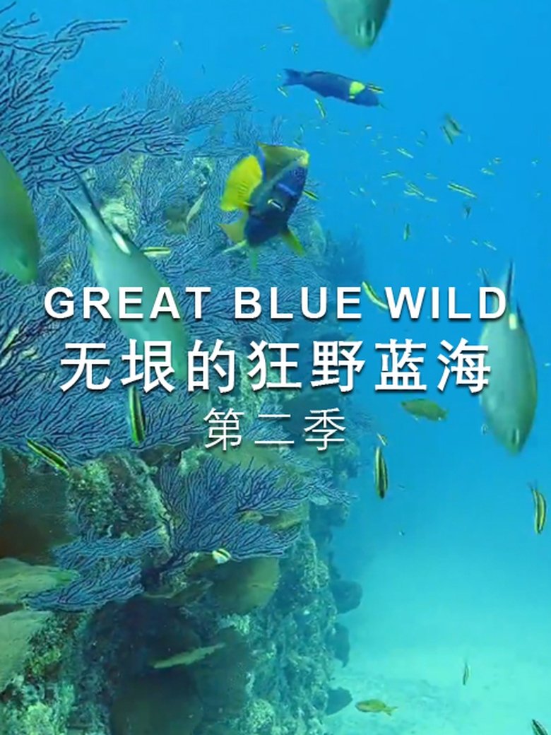 Poster of Cast and Crew in Great Blue Wild - Sea of Cortez (Season 2 - Episode 1) - Sea of Cortez