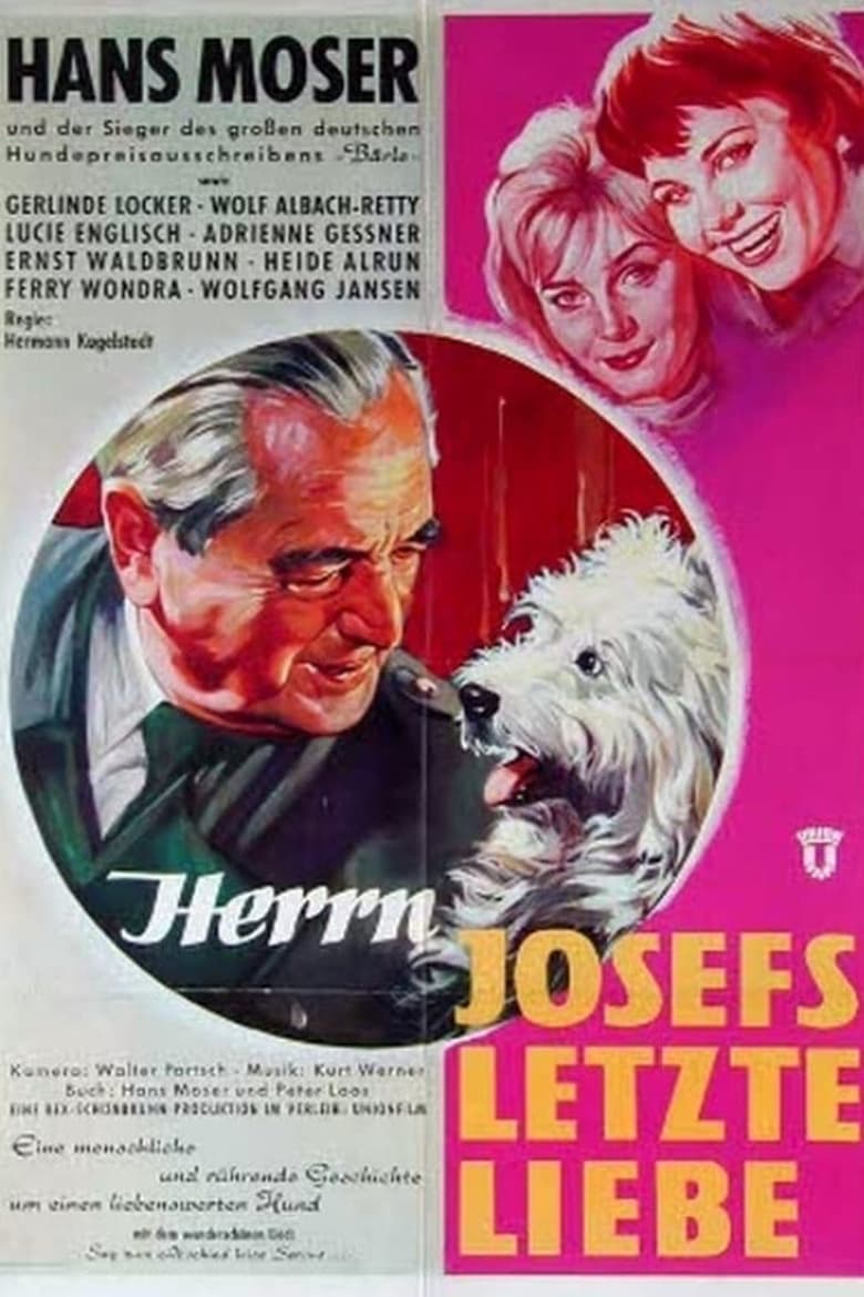 Poster of Herrn Josefs letzte Liebe
