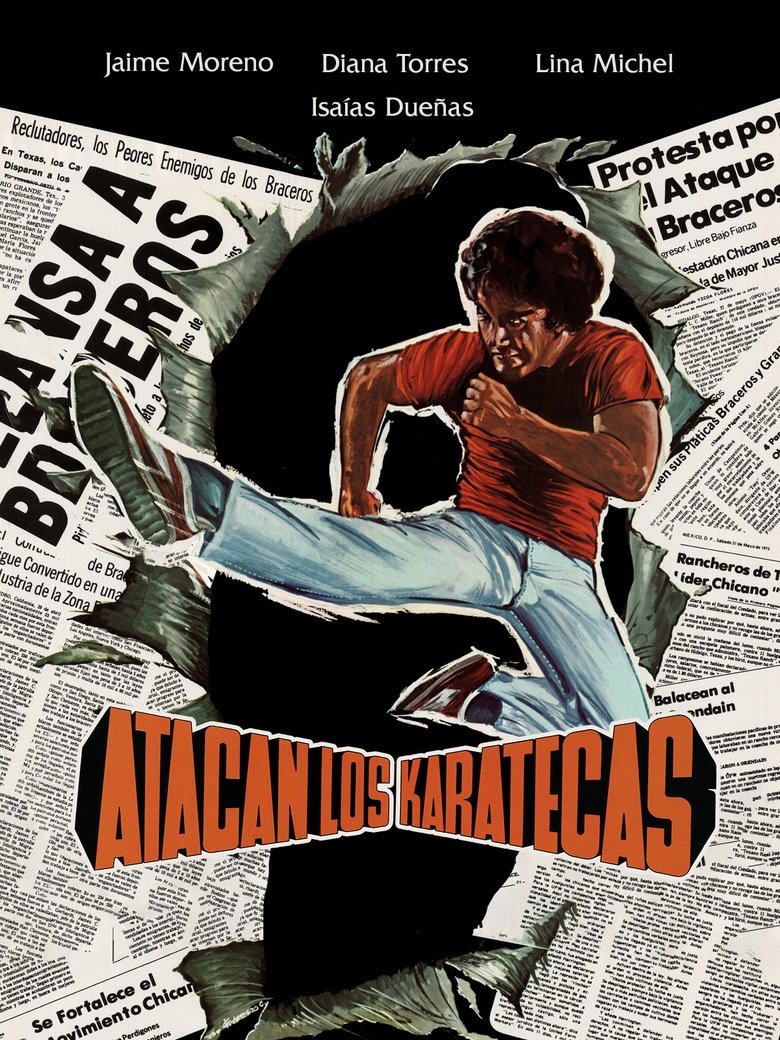 Poster of Atacan los karatecas