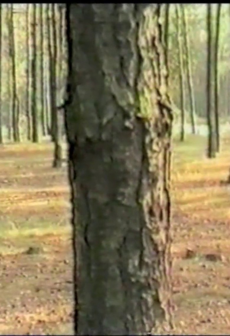 Poster of Dancing with Trees
