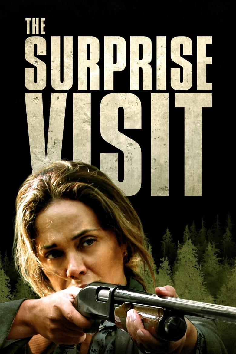 Poster of The Surprise Visit