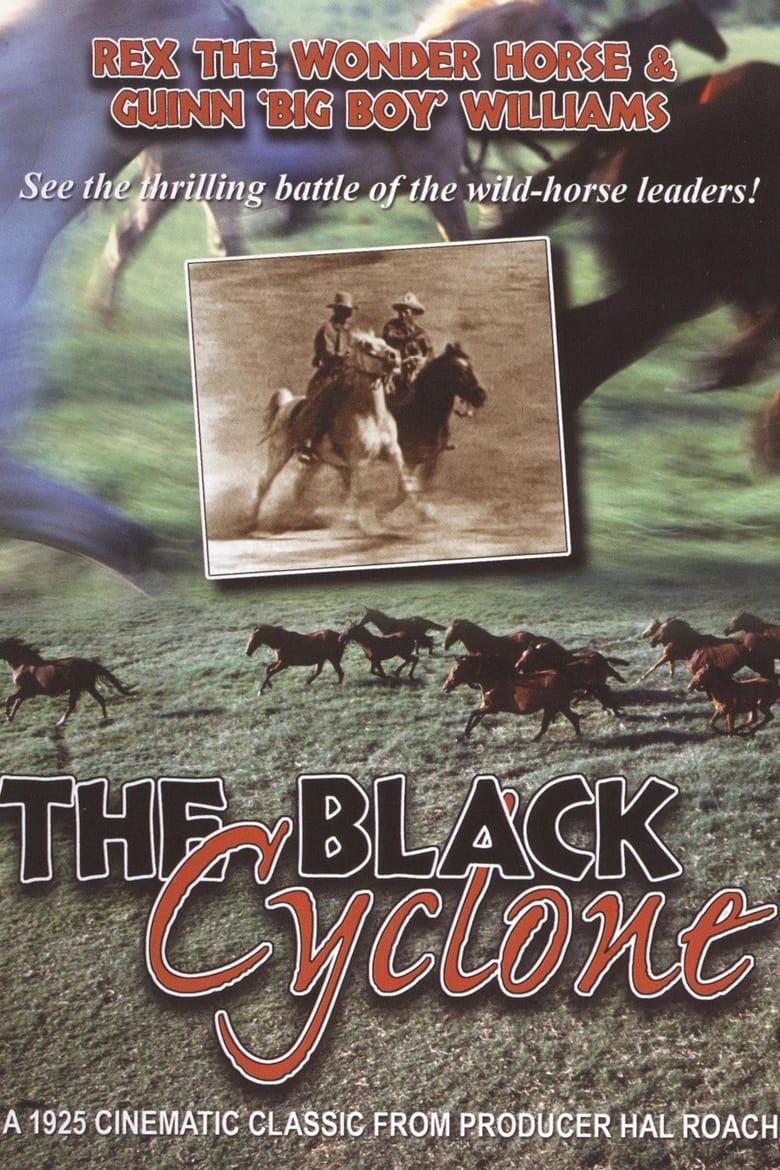 Poster of Black Cyclone