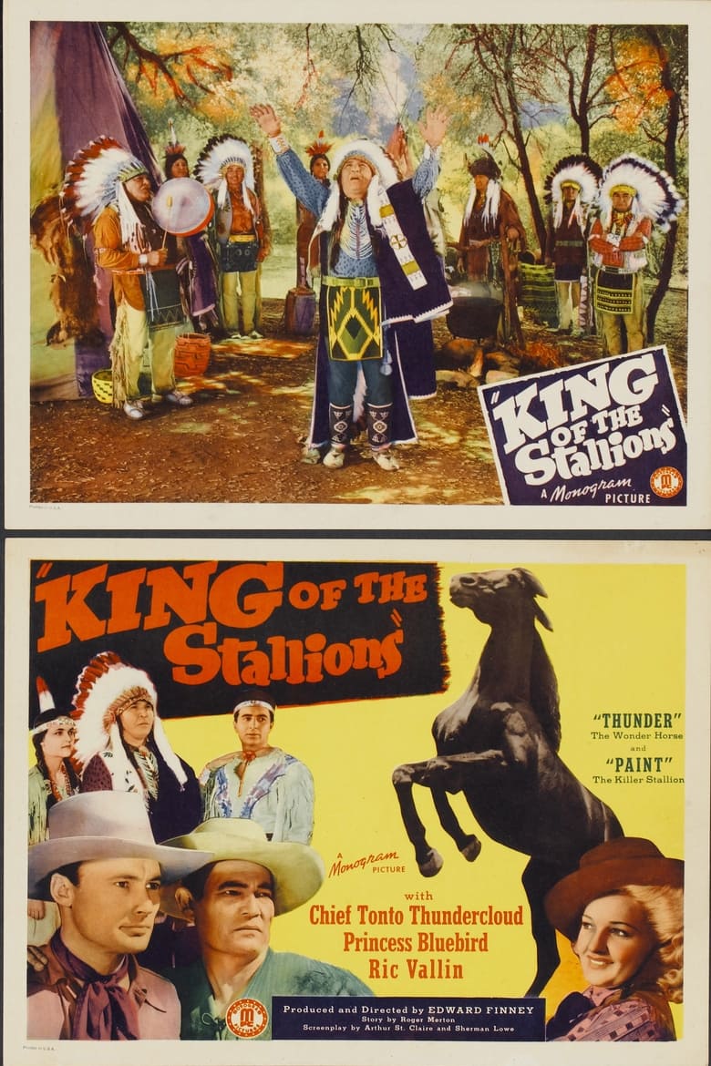 Poster of King of the Stallions