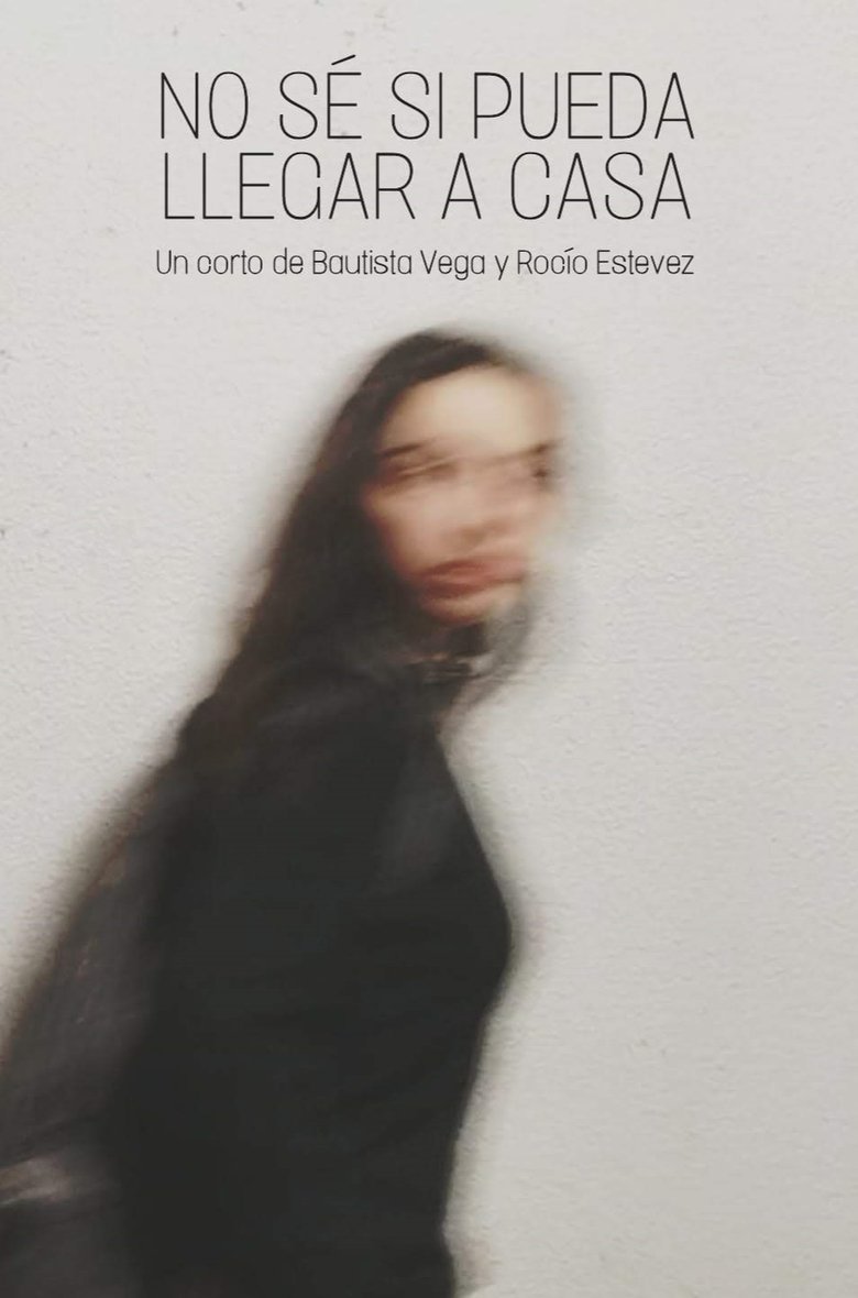 Poster of I don't know if I'll get home