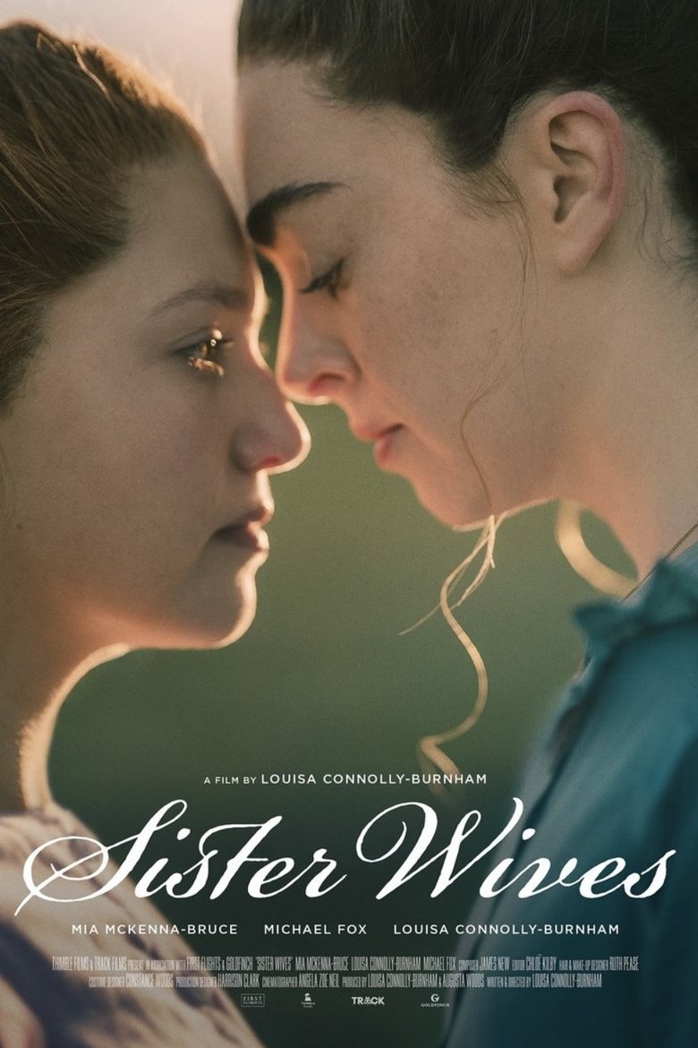 Poster of Sister Wives