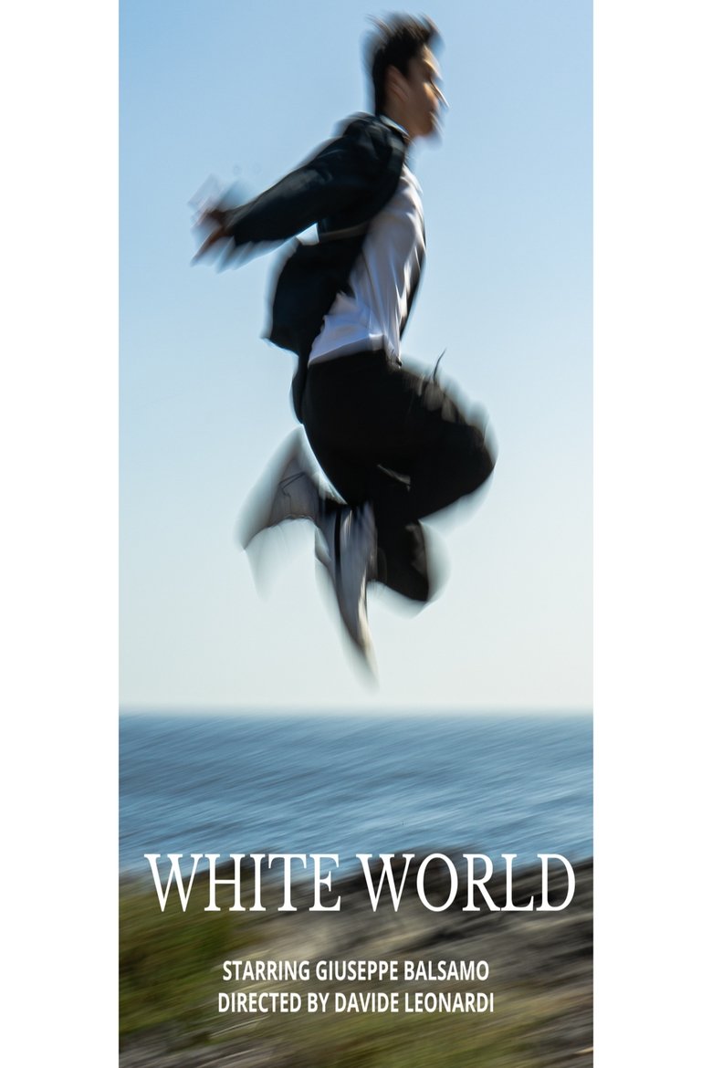 Poster of White World