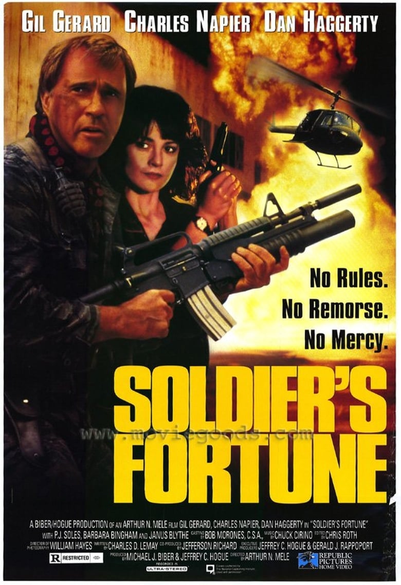 Poster of Soldier's Fortune