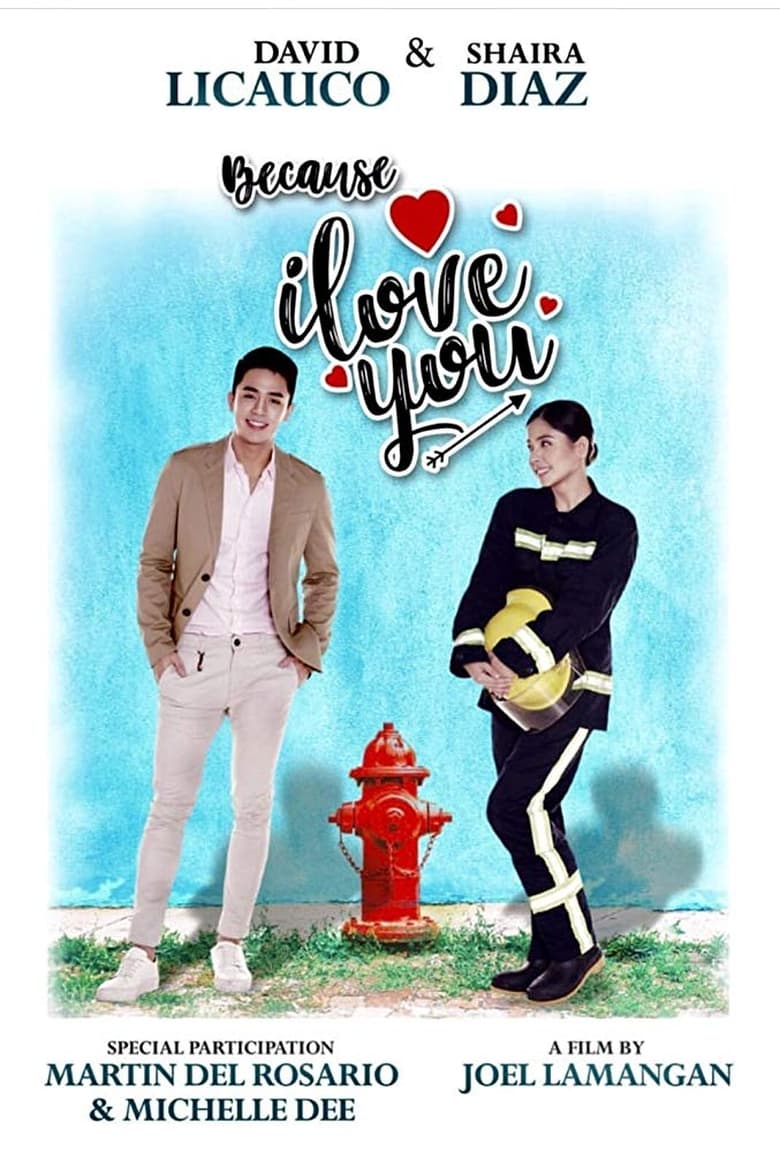 Poster of Because I Love You