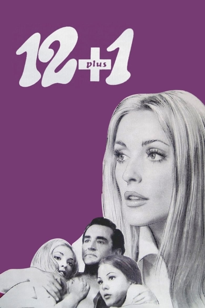 Poster of Twelve Plus One