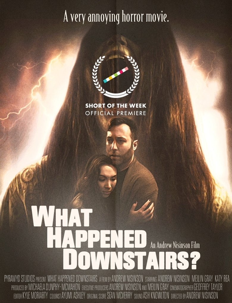 Poster of What Happened Downstairs?