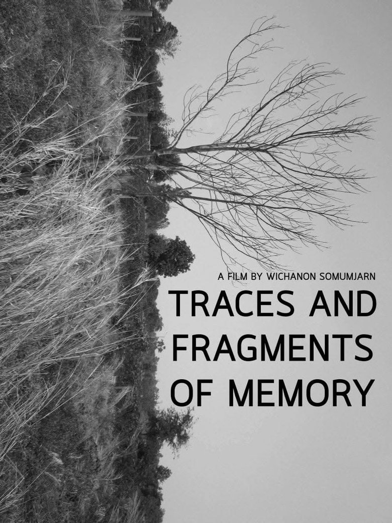 Poster of Traces and Fragments of Memory