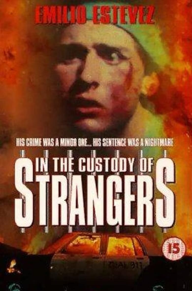 Poster of In the Custody of Strangers