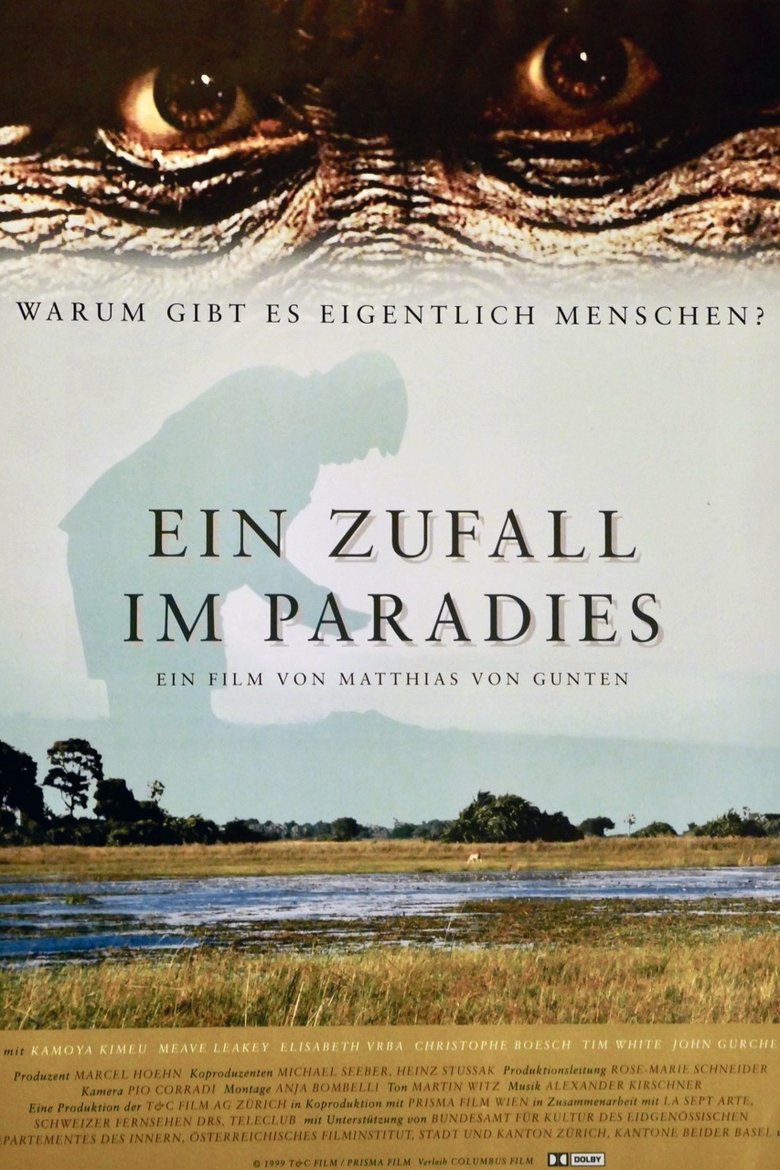 Poster of Coincidence in Paradise