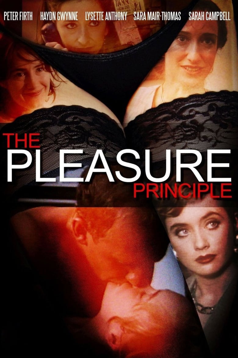 Poster of The Pleasure Principle