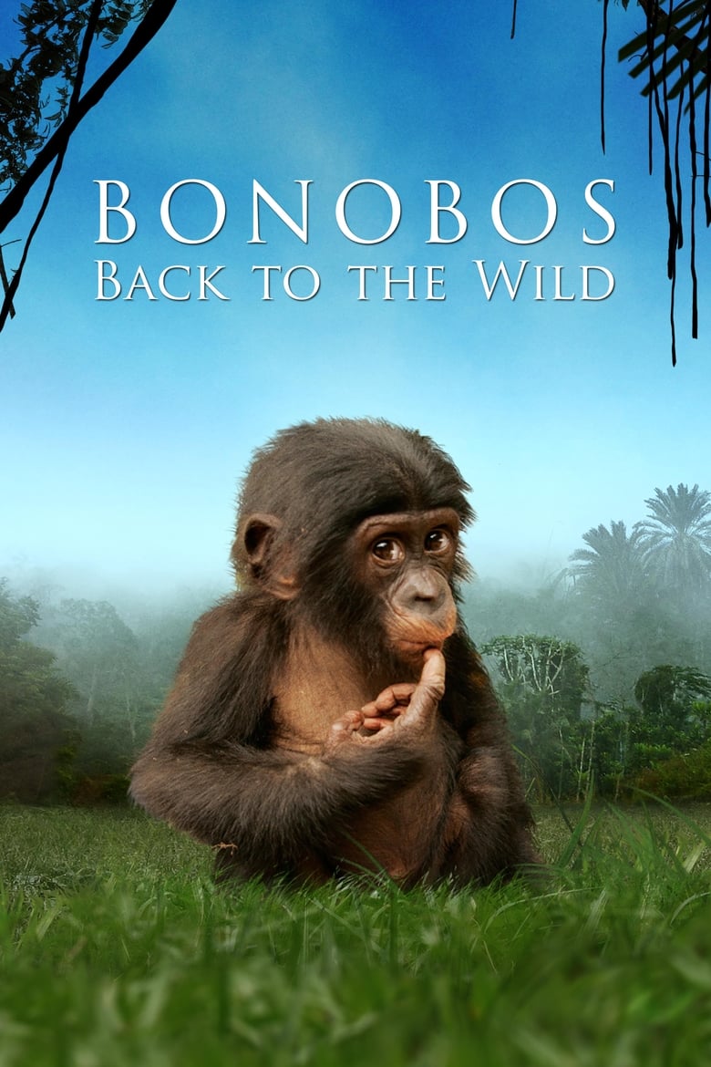 Poster of Bonobos: Back to the Wild