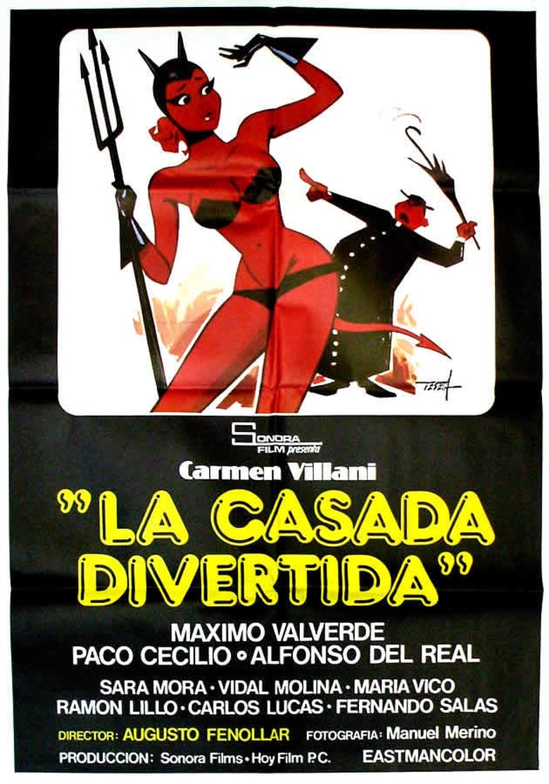 Poster of La casada divertida