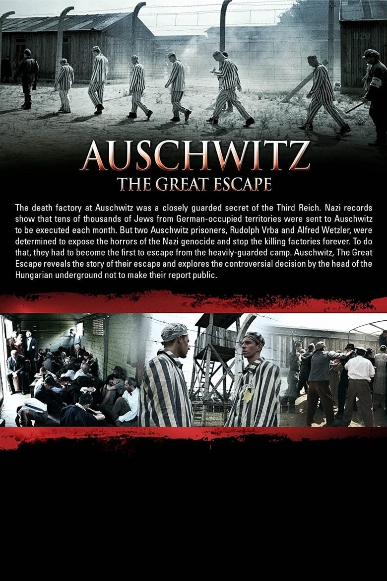 Poster of Auschwitz: The Great Escape
