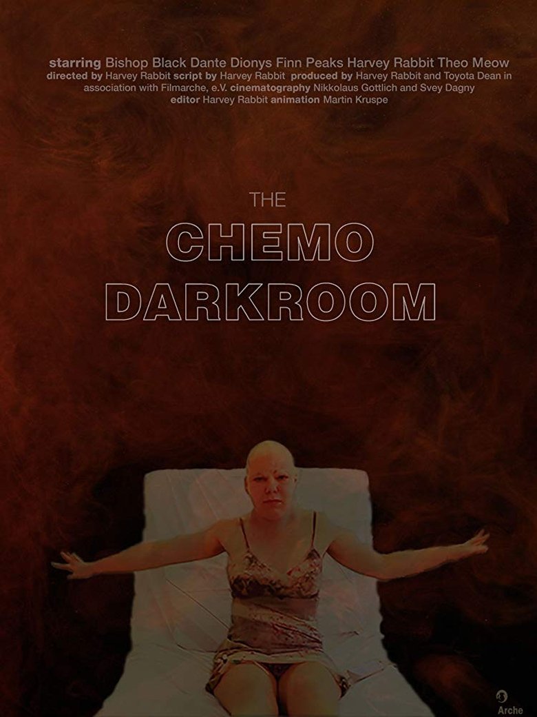 Poster of The Chemo Darkroom