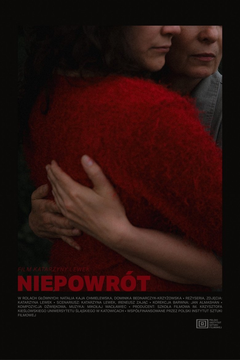 Poster of Not to Come Back
