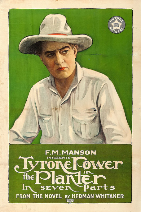 Poster of The Planter