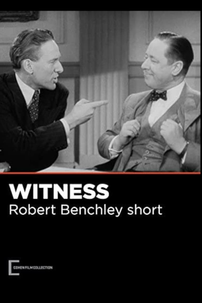 Poster of The Witness