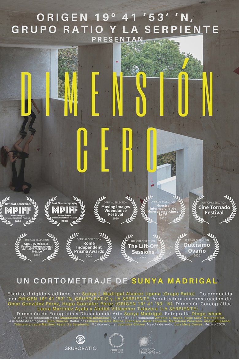 Poster of Zero Dimension