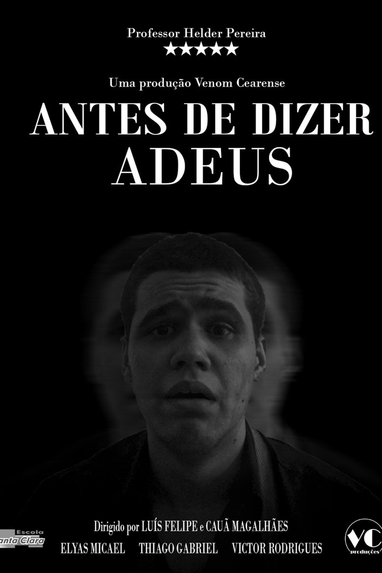 Poster of Antes de Dizer Adeus