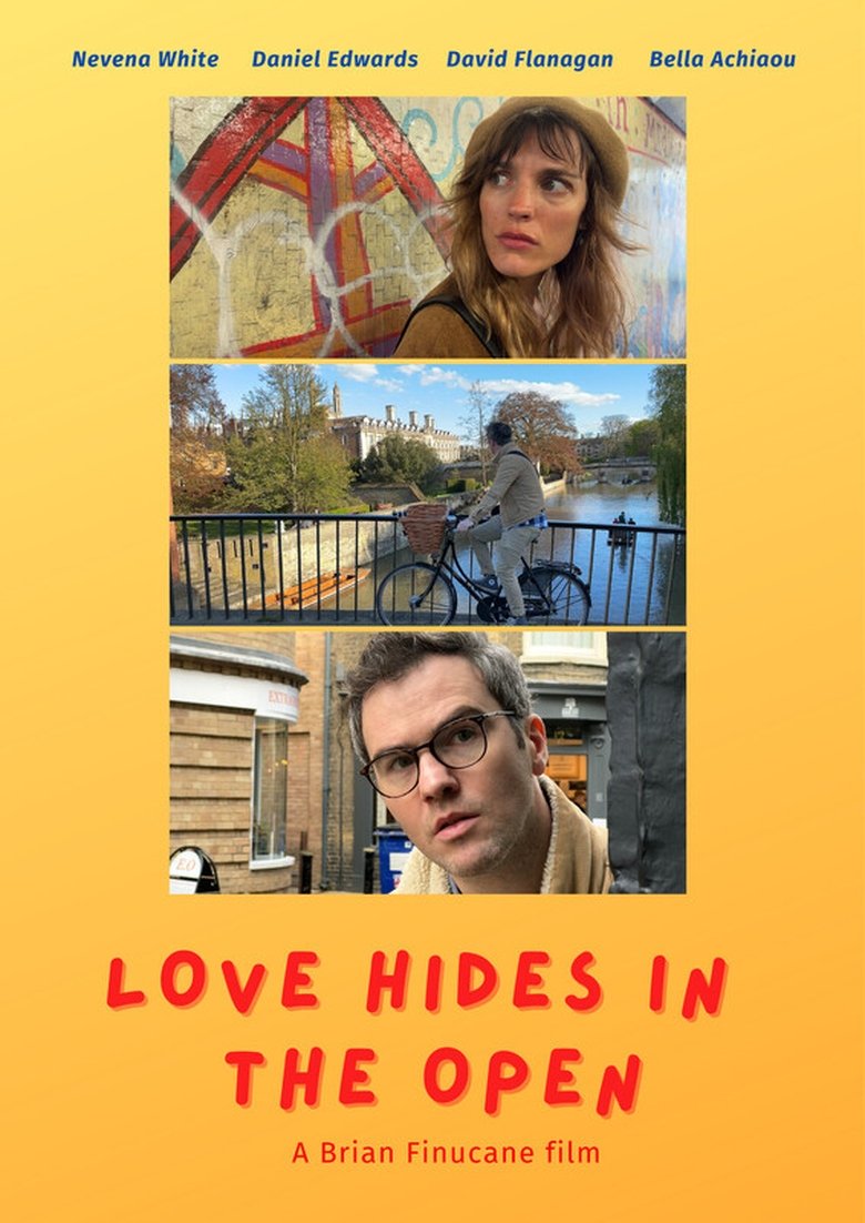 Poster of Love Hides In The Open