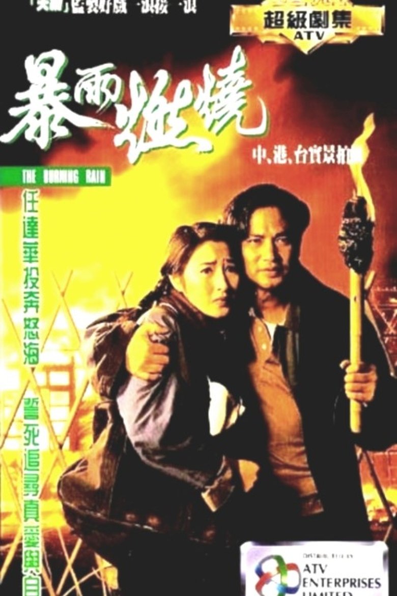 Poster of 暴雨燃燒