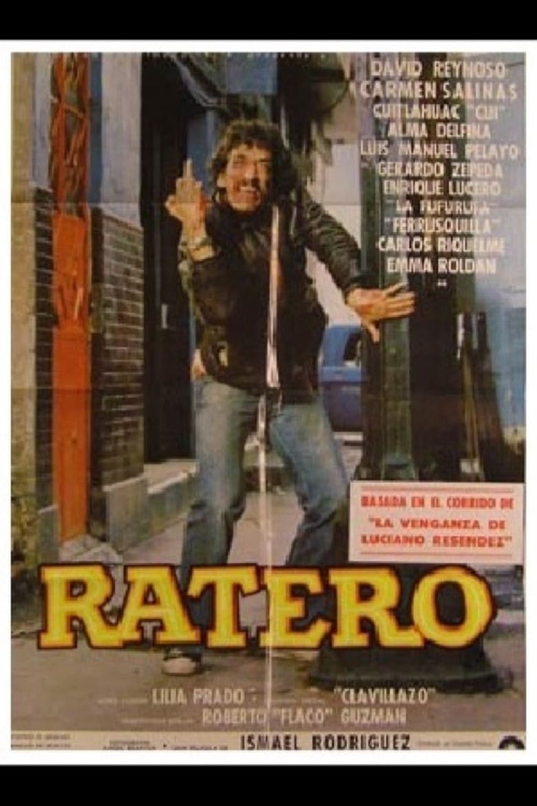 Poster of Ratero