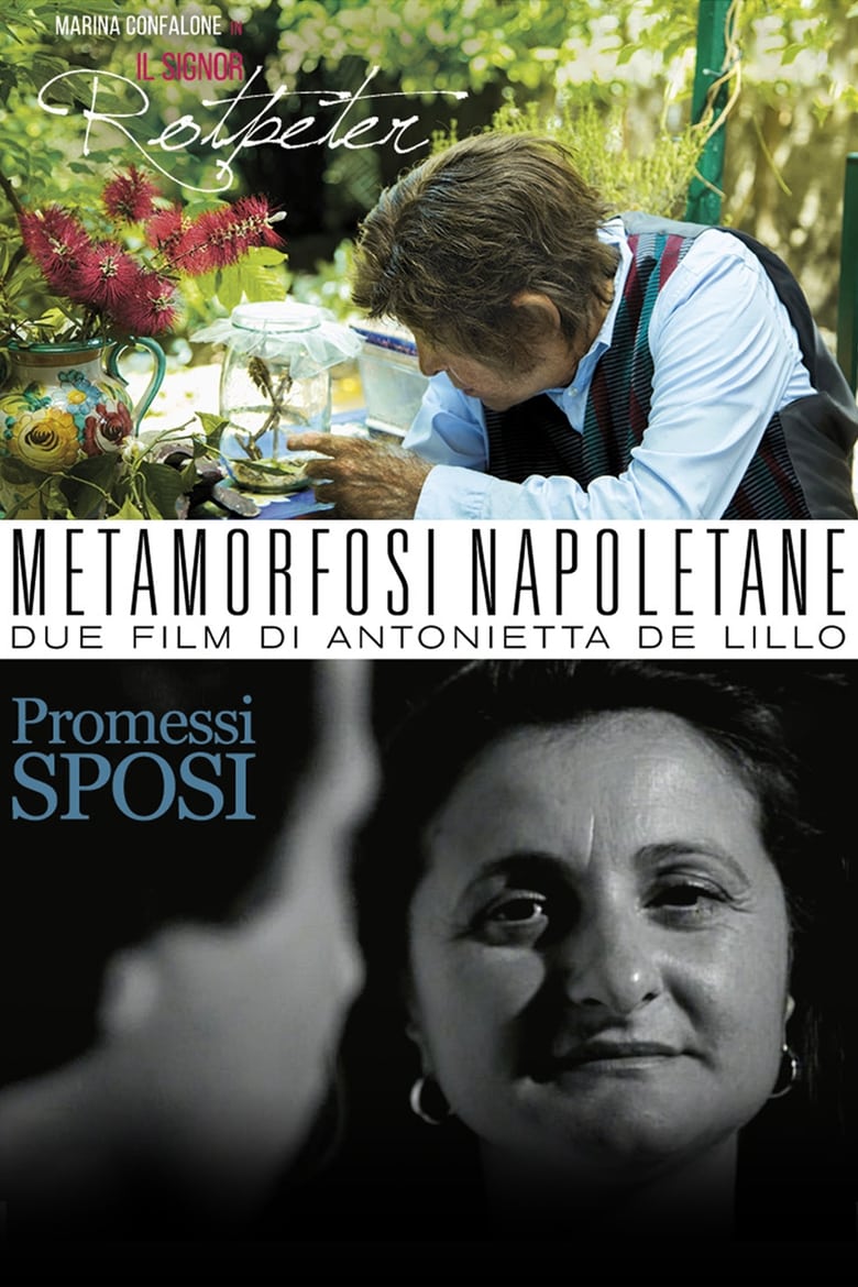 Poster of Metamorfosi Napoletane