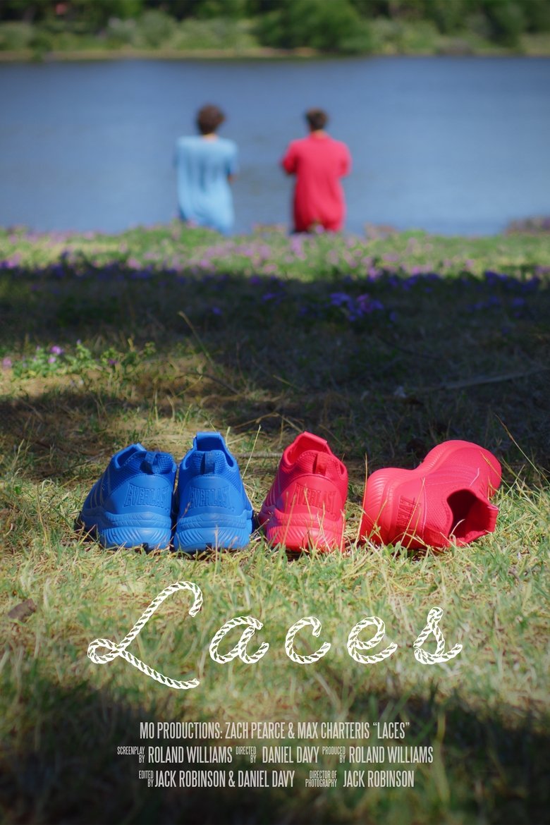 Poster of Laces