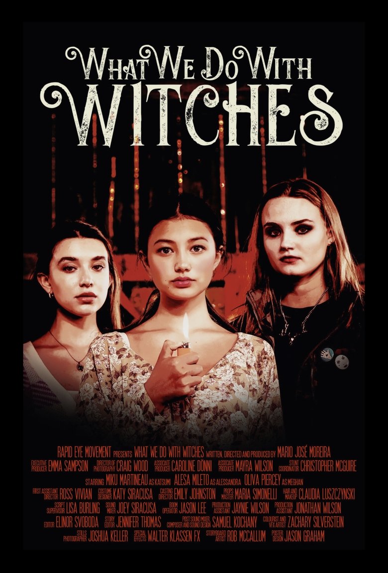 Poster of What We Do with Witches