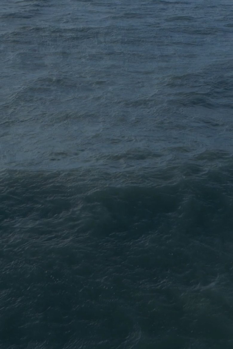 Poster of Twenty Nine Minutes at Sea