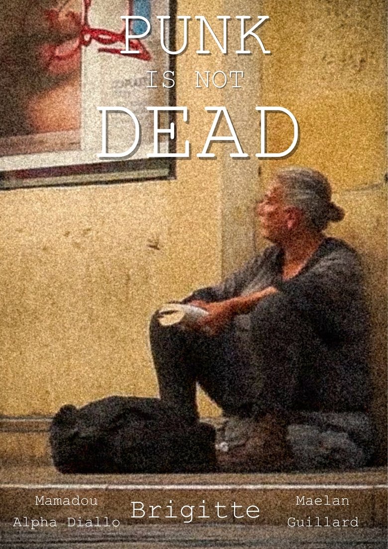 Poster of Punk is not dead