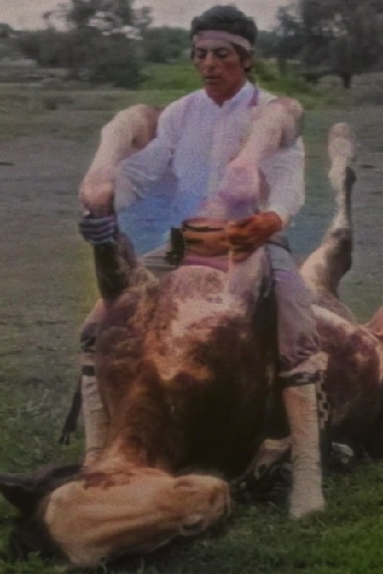 Poster of The Rider
